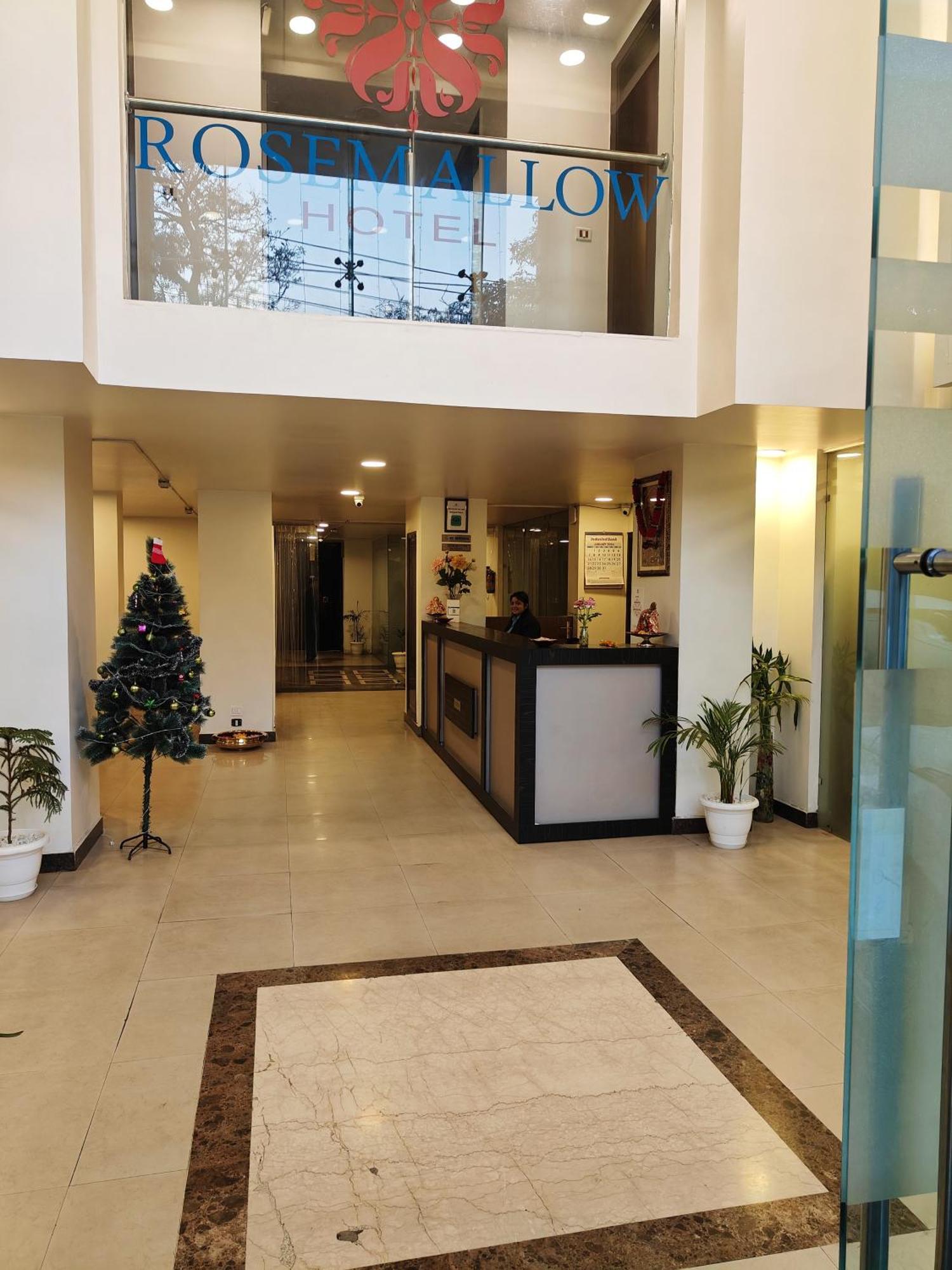 Rosemallow Hotel Nowe Delhi Zewnętrze zdjęcie
